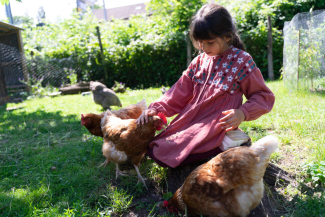 Maedchen streichelt huehner