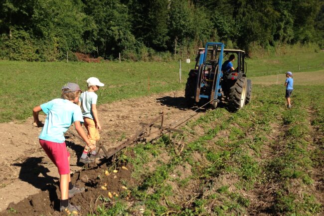 Schüler laufen mit Pflug der vom Traktor gezogen wird